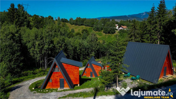 Ansamblu tip a frame, moieciu de jos, 2025