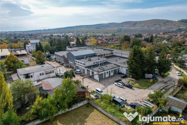 Film! ansamblu: spatii comerciale, birouri, productie si sim