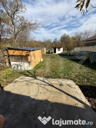 Teren intravilan 1500 mp, ideal pentru casă – iedera