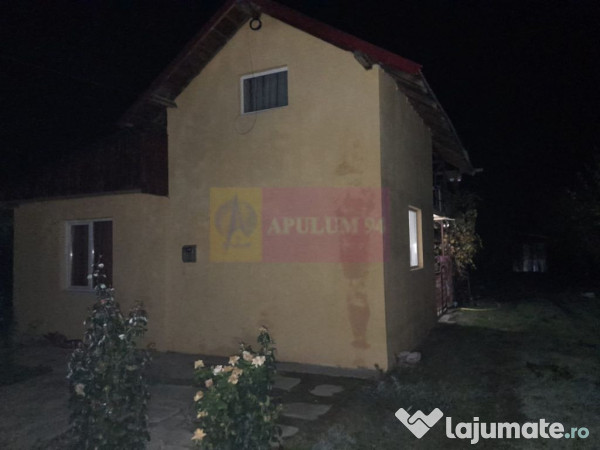 Barcanesti - casa +curte+teren 16k mp