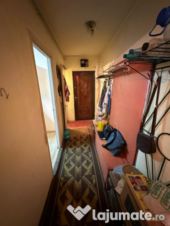 apartamente de vanzare timisoara