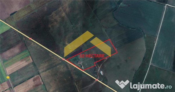 Teren agricol de 10 ha sintea mare