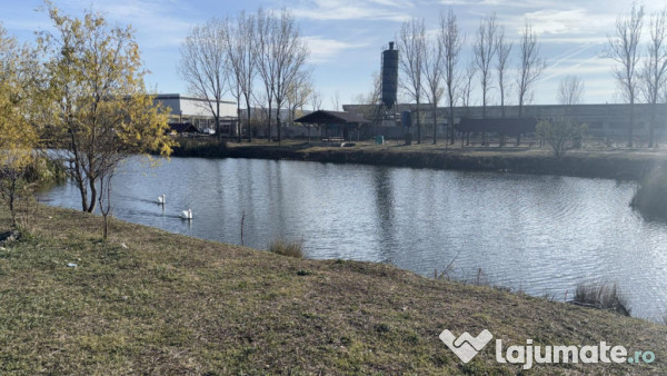 Teren intravilan 500mp, pielesti