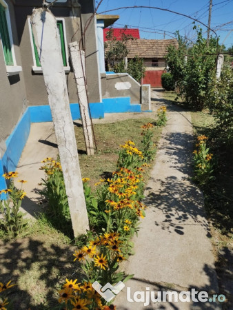 Casă în satul zebil cu vedere superbă spre lacul babadag