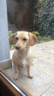 George