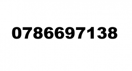 0786697138
