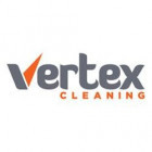 Vertex Cleaning