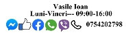 Vasile 