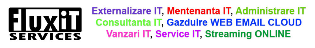 FluxIT Services