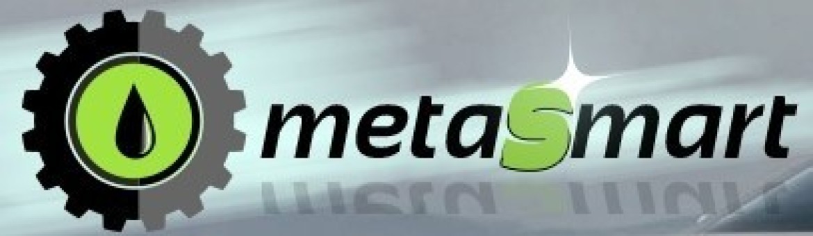 MetaSmart SRL