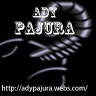 Ady Pajura